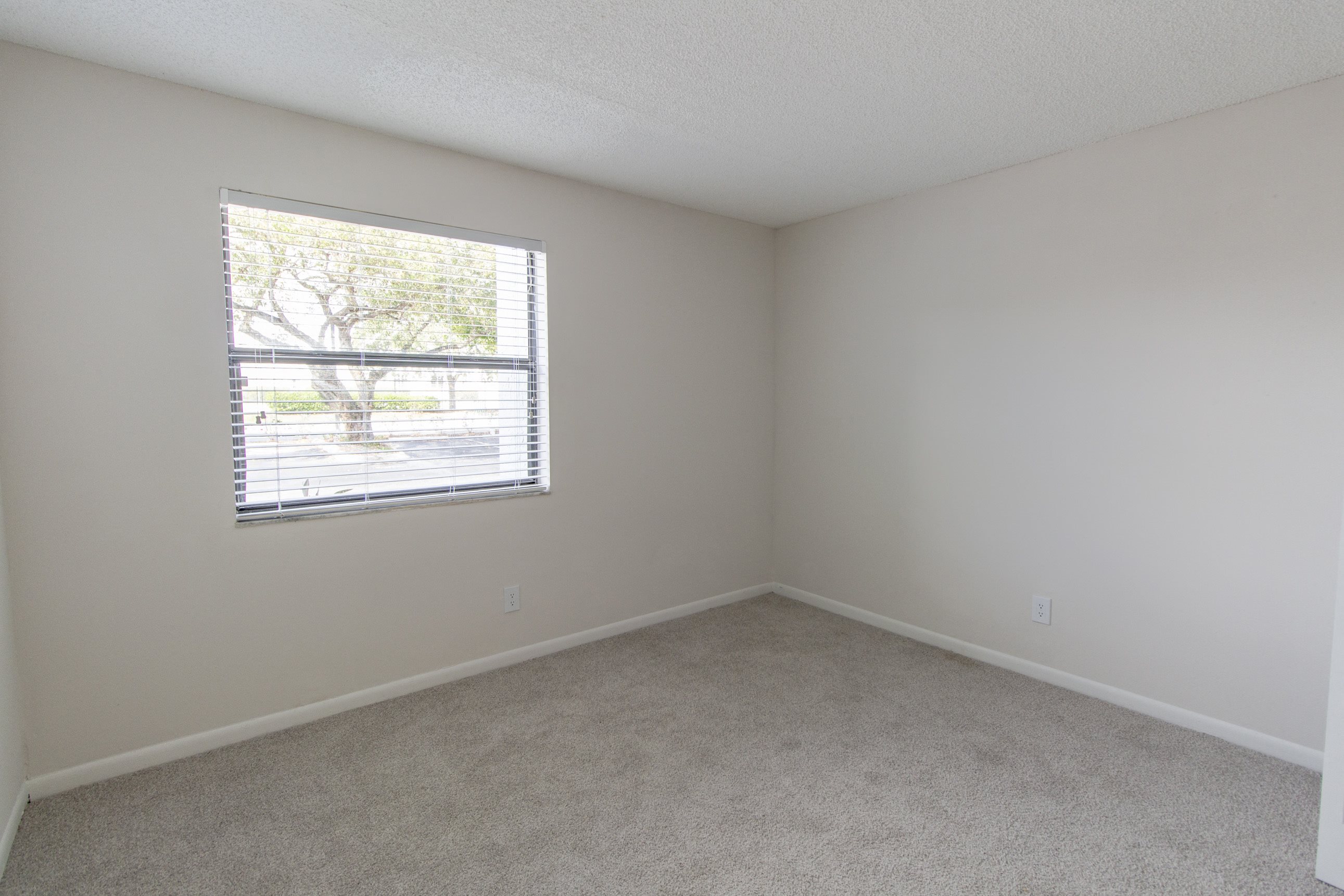 Gallery Photo 13